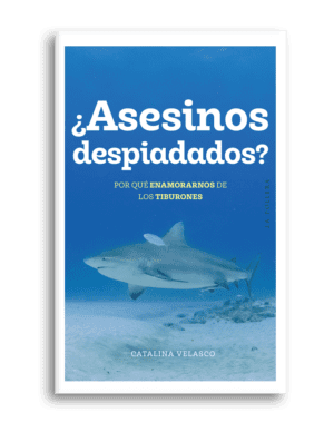¿Asesinos despiadados?: Por qué enamorarnos de los tiburones