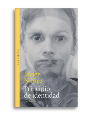 Principio de identidad
